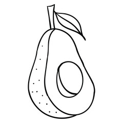 Hand drawing style of avocado vector. It is suitable for fruits icon, sign or symbol.