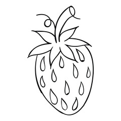 Hand drawing style of strawberry vector. It is suitable for fruits icon, sign or symbol.