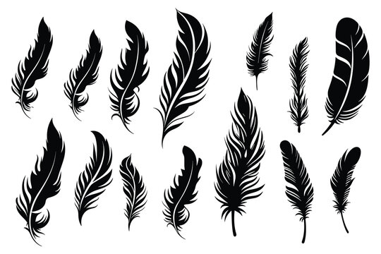 Black fluffy feather. Hand drawing vintage art realistic quill feathers for pen detailed isolated vector elegant silhouette sketch bird plume set