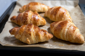 Fresh croissants just out of the oven.