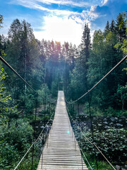 A wooden suspension bridge, gracefully arching over a serene and mysterious swamp.