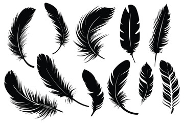 Illustration with twelve black feathers isolated on white background.