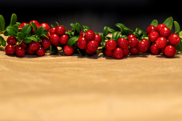 Lingonberry branch. Bush of wild ripe cowberry