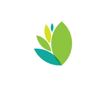 simple green leaf logo vector design