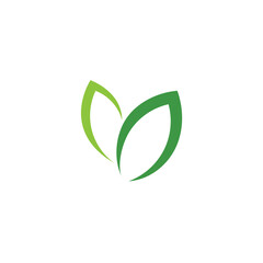 simple green leaf logo vector design
