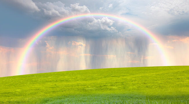 Rainy weather with green grass field and deep blue sky amazing rainbow in the background