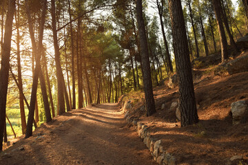 View of the path that runs along the slope of La Muela mountain in Rincón de Ademuz with evening light, near the archaeological site of La Celadilla on the Iberian Peninsula