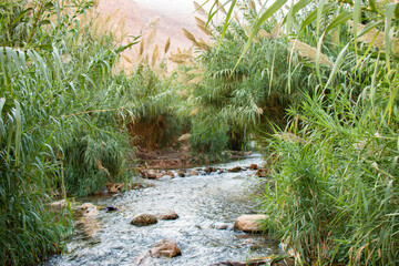 Wadi Al-Auja in Jericho, Palestine