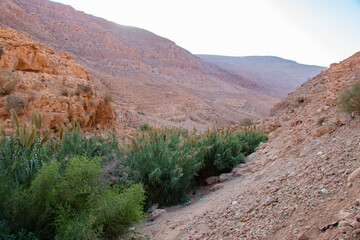 Wadi Al-Auja in Jericho, Palestine