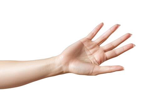 Open female hand isolated on transparent background PNG