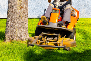 gardener mows the lawn on a lawn mower.