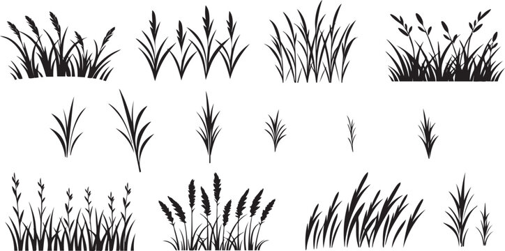 Grass silhouette vector for Natural and Outdoor Design