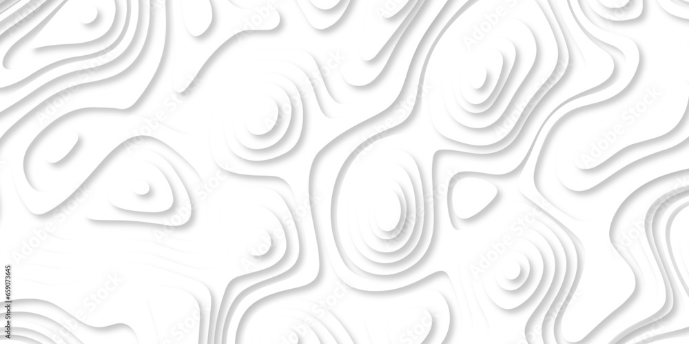 Poster Topographic map. Geographic mountain relief. Abstract lines background paper texture Imitation of a geographical map shades .Topographic contour lines vector map seamless pattern vector illustration.