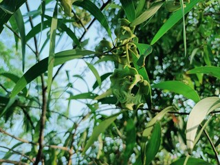 This small state is located in the southwestern tip of India