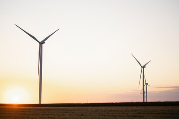 Agricultural field with wind turbines at sunset.