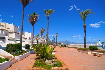 promenade with palm trees on the beach near the famous marina La Duquesa, Duquesa Port, Manilva, Andalusia, Estepona, Marbella, Malaga, Spain