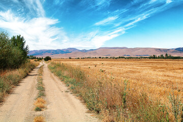 Harvested field with dust road passing by. Agricultural field on which straw lies side of the dirt road. 