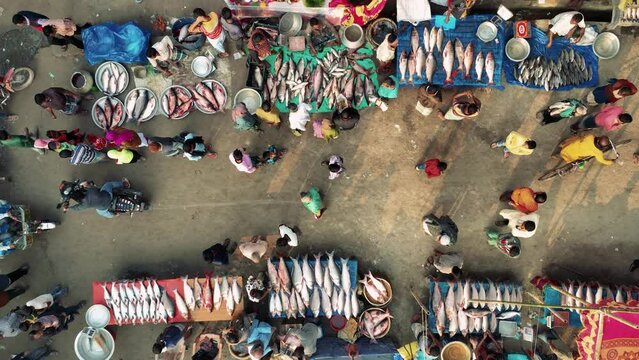 An aerial view of a bustling fish market in Bangladesh, where a variety of fresh fishes are brought for sale