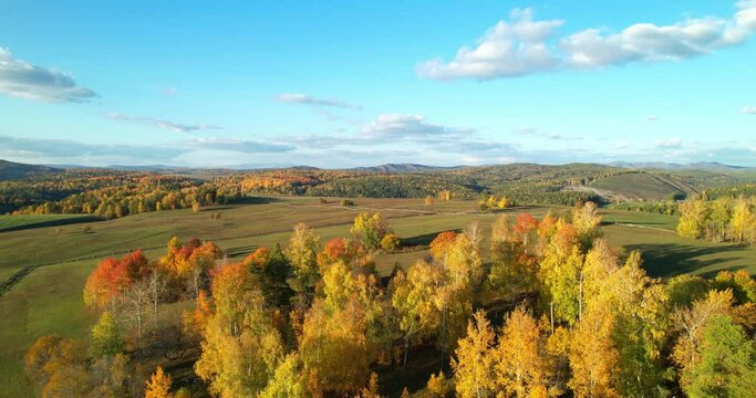 Autumn Landscape Aerial Shot. View of the forest and mountains on the horizon in the autumn season