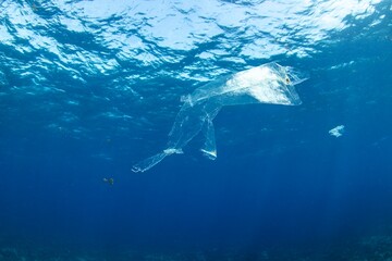 Plastic swimming in the ocean. We need to clean our oceans from plastic pollution. Reuse, Reduce, Recycle.