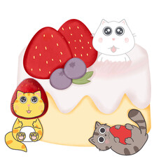 Cat and cake