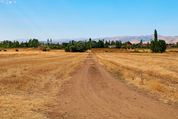 Fototapeta na wymiar Agricultural field on which straw lies side of the dirt road. Harvest field with a dirt road passing by.