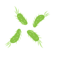 E. coli bacteria vector icon