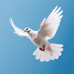 Graceful Elegance: A White Dove Soaring in the Blue Sky