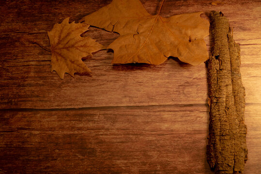 Autumn background, wooden table with dry leaves and tree bark