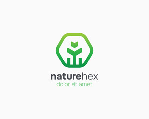 Hexagon with natural leaf flower logo