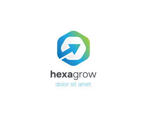 Simple modern hexagon with arrow up logo