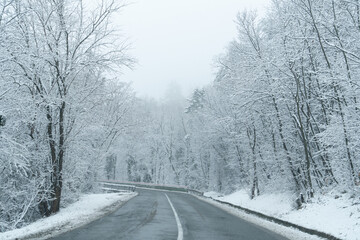 Winter landscape with snow-covered trees and road