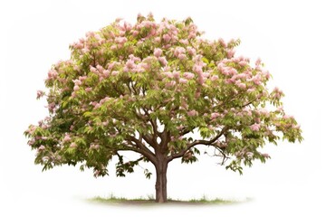A majestic oak tree in full spring bloom, a symbol of natural beauty and vibrant life.