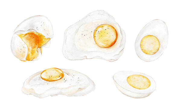 Set of poached egg, fried eggs, boiled eggs on a white isolated background. Digital watercolor hand drawn illustration. For menu, cookbook, packaging.