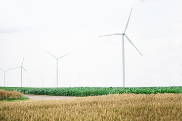 Agricultural field with wind turbines.