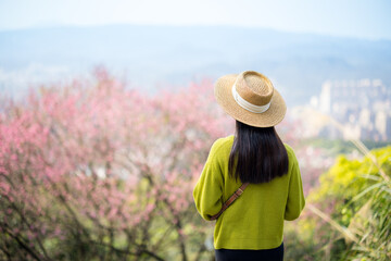 Naklejka na ściany i meble Tourist Woman with the sakura tree background