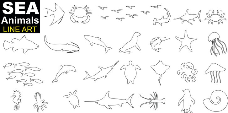 sea animals, creatures line art. Features a diverse marine life including dolphins, sharks, whales, and fish. Explore the underwater world in line art style.  for educational materials, coloring books