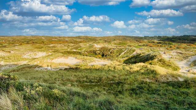 Dunes of Egmond aan Zee (Schoorlse Duinen) on the Dutch North Sea. Egmond aan Zee, the Netherlands, Europe. 