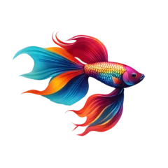 Fotobehang Siamese fish with flower tail and fins rainbow colorful floral fighting betta isolated on black design © TAHMINA