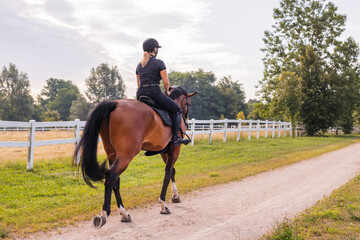 Horsewoman in black equestrian outfit riding her beautiful chestnut horse along the trail on a...