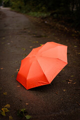 A red umbrella on the pavement in a rainy fall.  A red umbrella in the fall