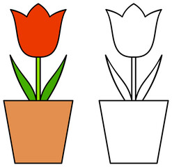 Cartoon red tulip colorful and outline. Coloring book page for children. Colored and line flower illustration isolated on transparent background. Game for kids.