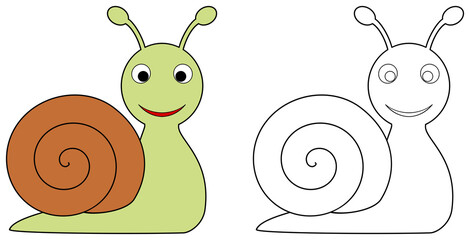 Cartoon snail colorful and outline. Coloring book page for children. Colored and line snail illustration isolated on transparent background. Game for kids.