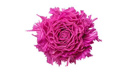 Obraz premium pink flower isolated on transparent background cutout