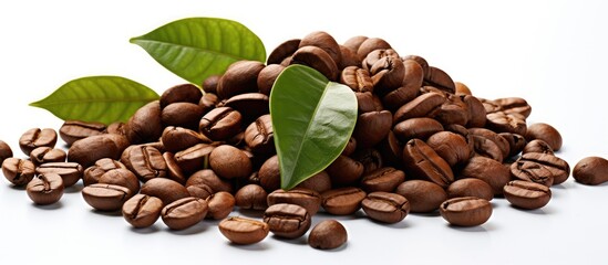 Isolated white background with fresh roasted coffee beans and leaves