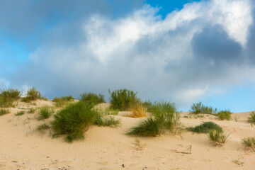 Valdevaqueros dune in Tarifa, Cadiz, Spain