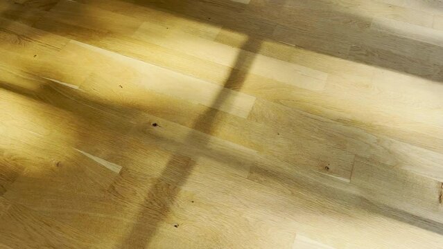 shadows and sun reflections on the floor