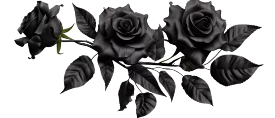 Foto auf Acrylglas Set of isolated buds, flowers, leaves and black rose flowers on transparent background. cut flower elements, garden themed designs. Top view high quality PNG." design elements, top view / flat lay © byerenyerli