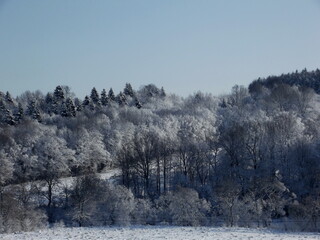 The first wet snow fell in the mountains and everything around turned white