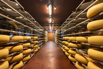 Emmental cheese factory storage in Emmental canton Bern in Switzerland - obrazy, fototapety, plakaty